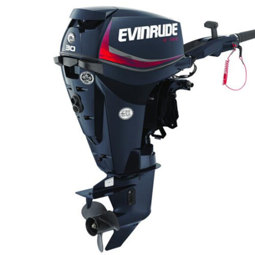 2018 Evinrude E-TEC 30 HP E30GTEL Outboard Motor